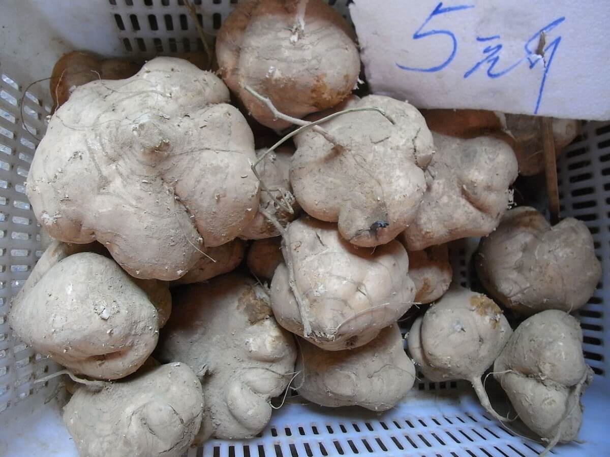 1280px-HK_SYP_Best_of_Best_Vegetable_Pueraria_roots_Aug-2012
