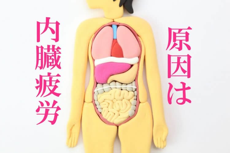 その症状、内臓疲労が原因かも?食事で根本から回復する方法※筋トレ、ランニング好きは要注意