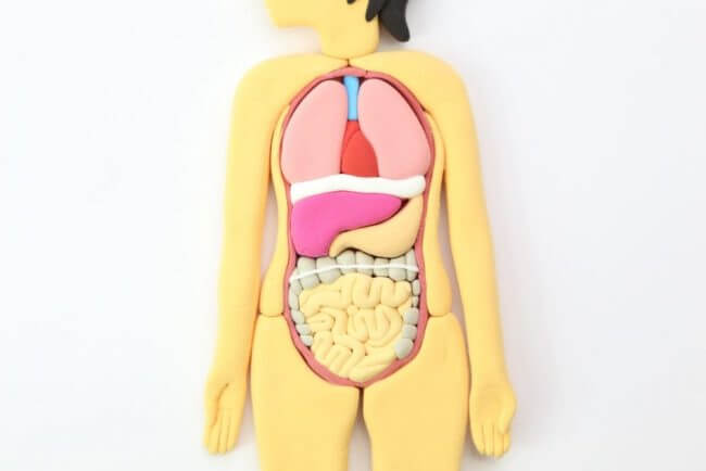 『NHKスペシャル 人体』に学ぶ腎臓に負担をかける医薬品4種類