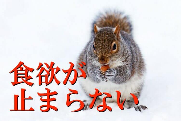 これが冬太りしない方法!冬の太りやすい原因を根本的に解消する方法2つ