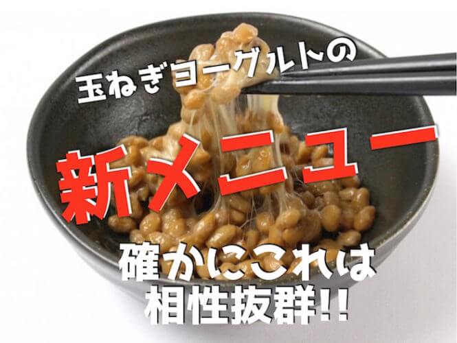 簡単で効果もUP【新】玉ねぎヨーグルト+納豆の作り方2ステップ。食べ方でお悩みなら別々に食べてもOK?